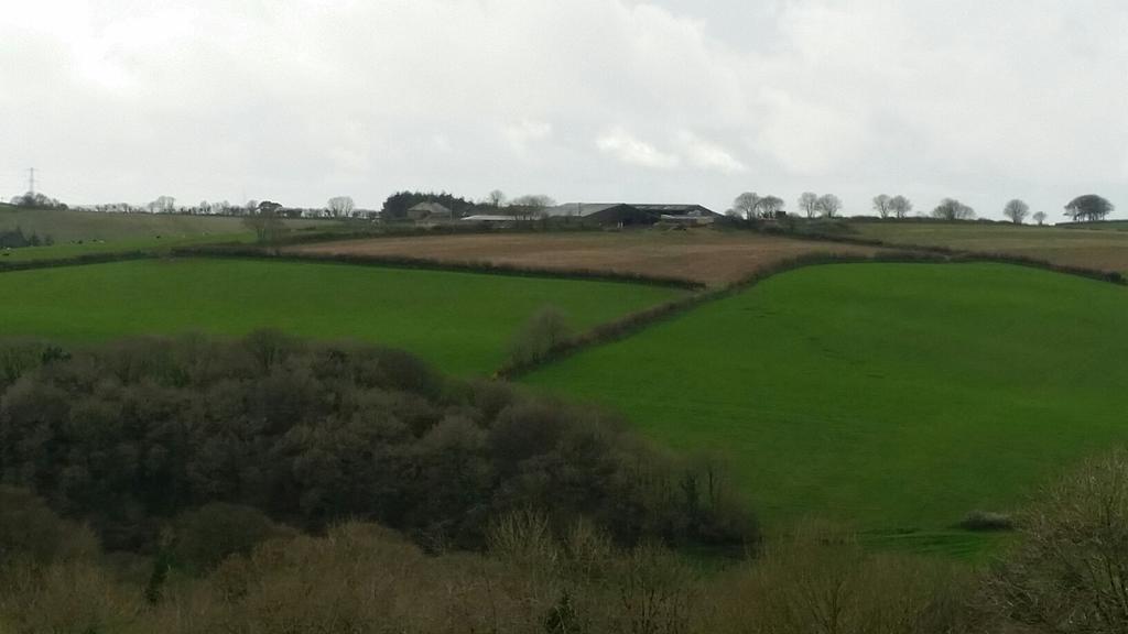 Pencubitt House Pension Liskeard Buitenkant foto