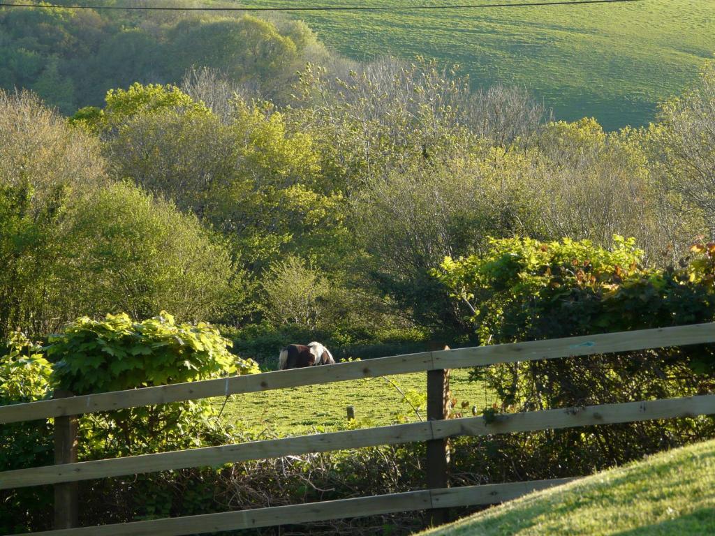 Pencubitt House Pension Liskeard Buitenkant foto